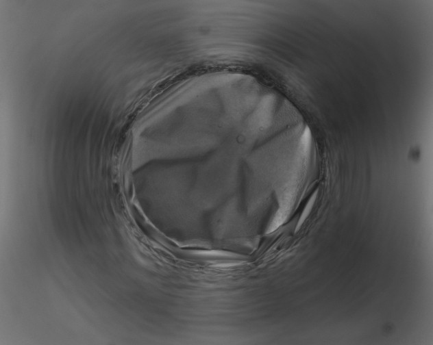 X0000116590868200912312034