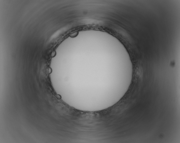 X0000116590869200912312034