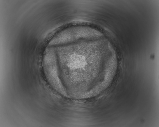 X0000116590870200912312034