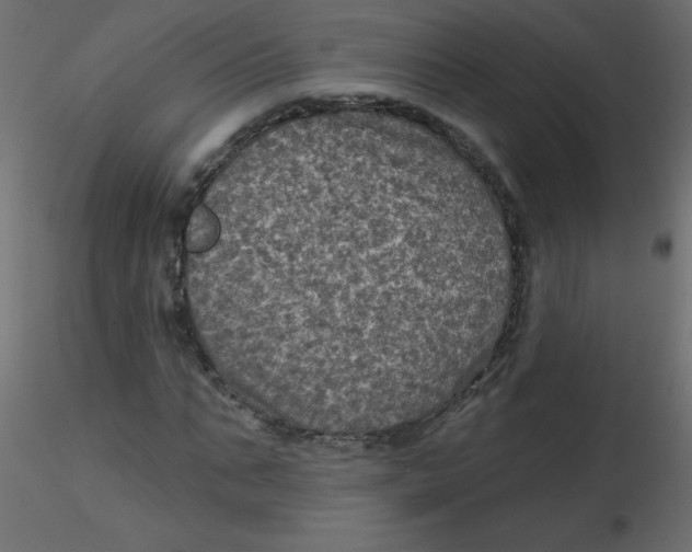 X0000116590871200912312034