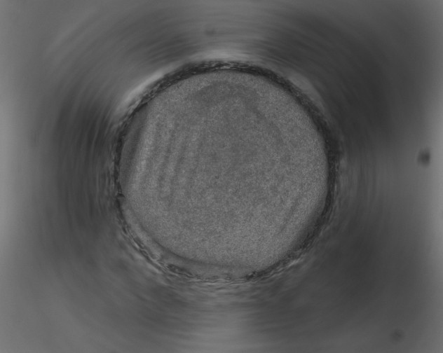 X0000116590872200912312034