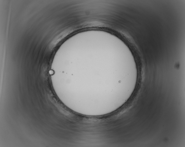 X0000116590873200912312034