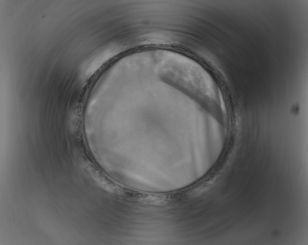 X0000116590874200912312034