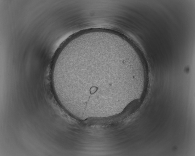 X0000116590875200912312034