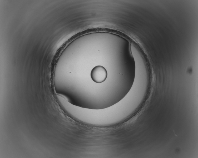 X0000116590877200912312034