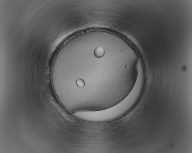 X0000116590878200912312034