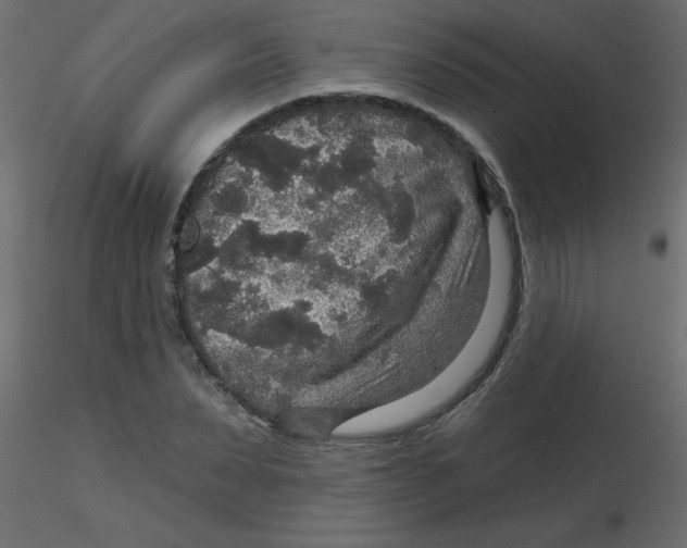 X0000116590879200912312034