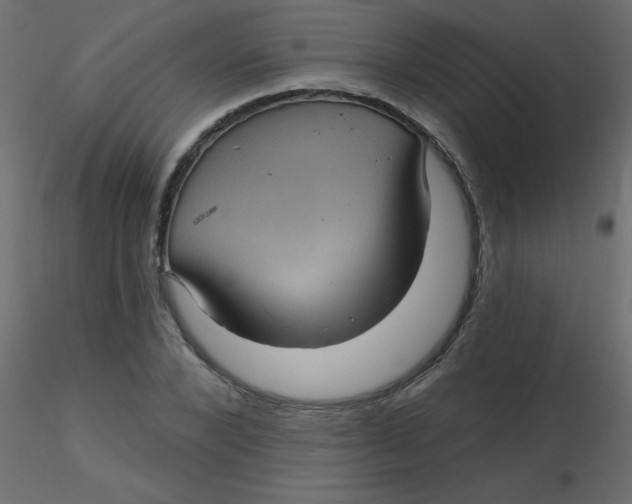 X0000116590880200912312034