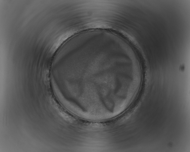 X0000116590881200912312034