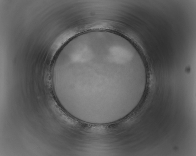 X0000116590882200912312034