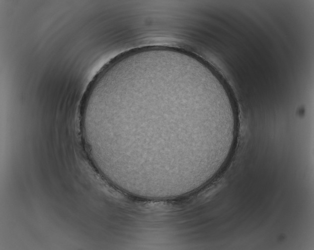 X0000116590883200912312034