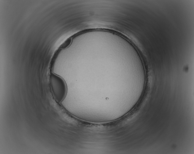 X0000116590885200912312034