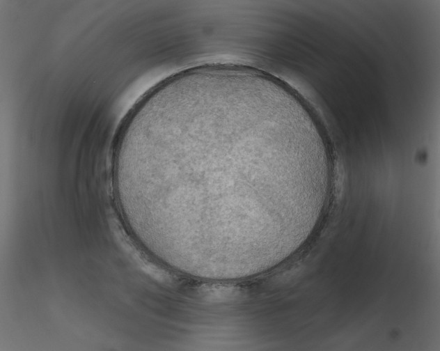 X0000116590886200912312034