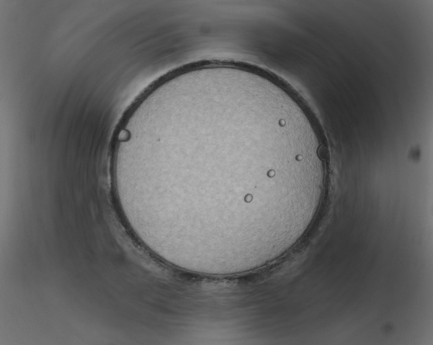 X0000116590887200912312034