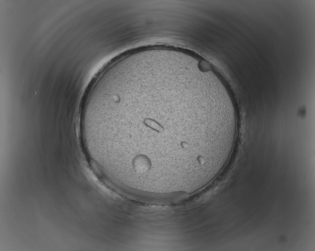 X0000116590888200912312034