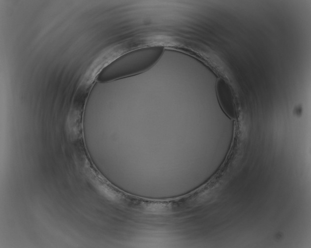 X0000116590889200912312034