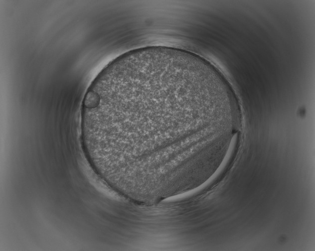 X0000116590891200912312034