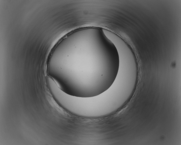 X0000116590892200912312034