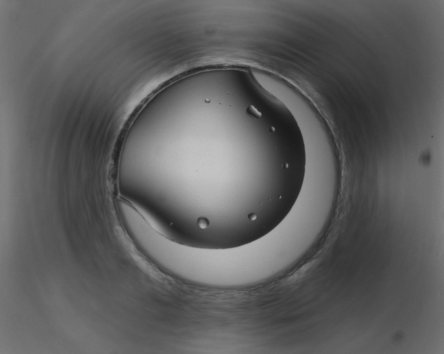 X0000116590893200912312034