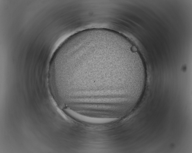 X0000116590894200912312033