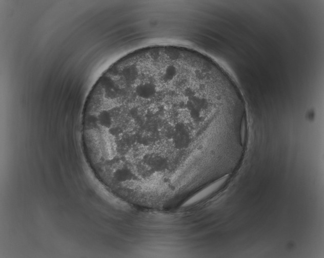 X0000116590895200912312033