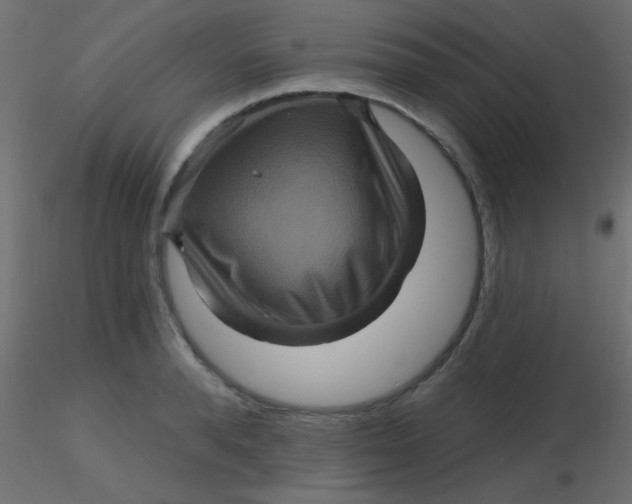 X0000116590896200912312033