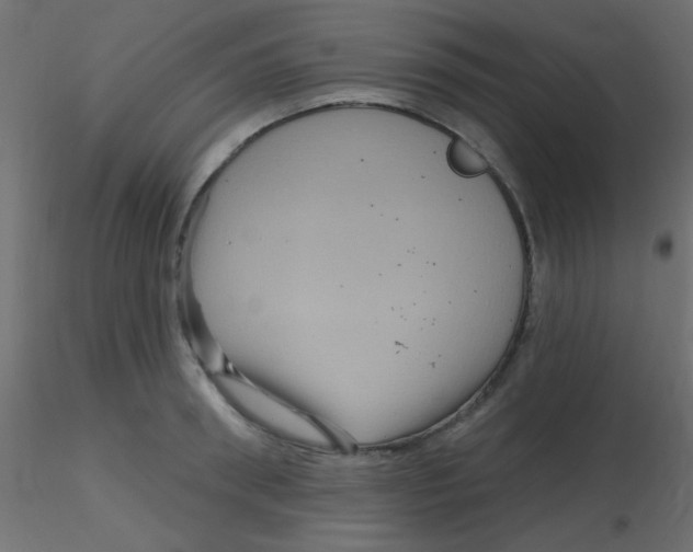 X0000116590898200912312033