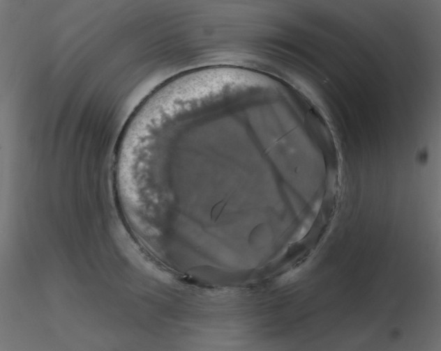 X0000116590899200912312033