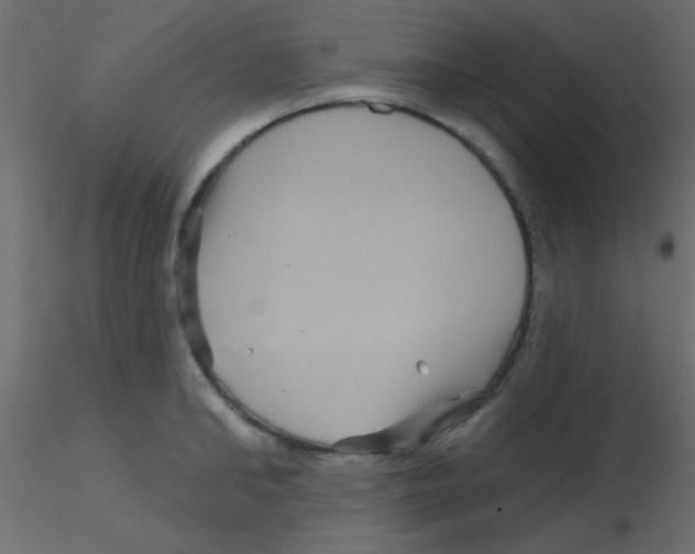 X0000116590902200912312033