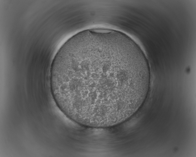 X0000116590903200912312033