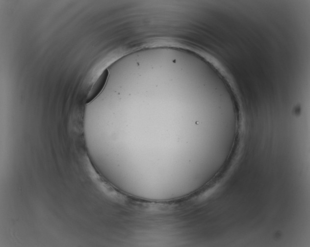 X0000116590905200912312033