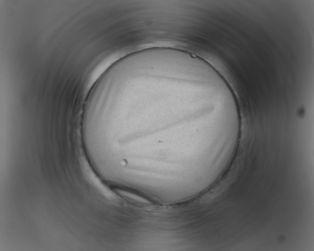 X0000116590906200912312033