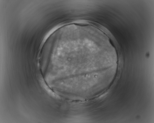 X0000116590908200912312033