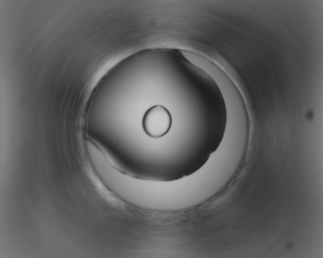 X0000116590909200912312033