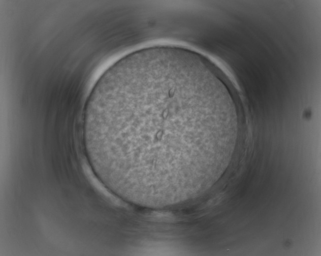 X0000116590911200912312033