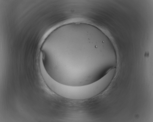 X0000116590912200912312033