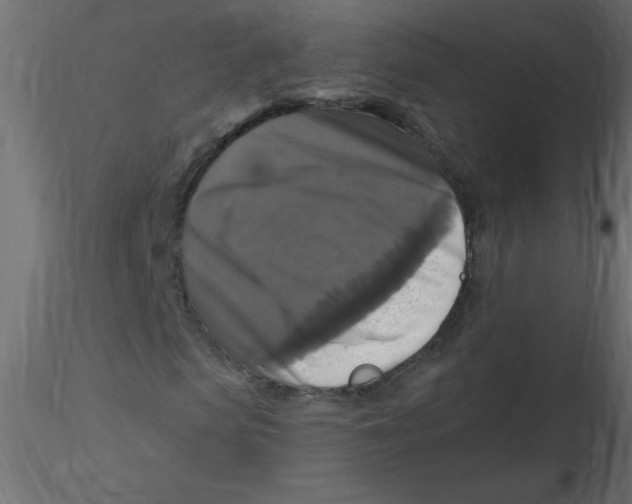 X0000116590913200912312033