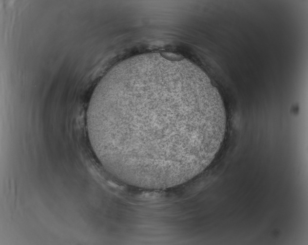 X0000116590914200912312033