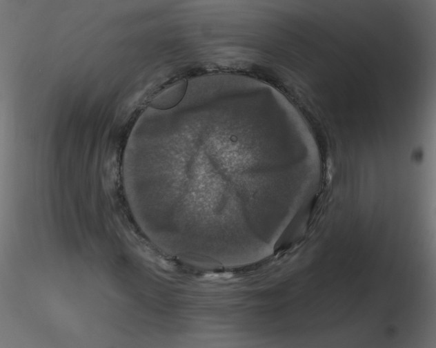 X0000116590915200912312033