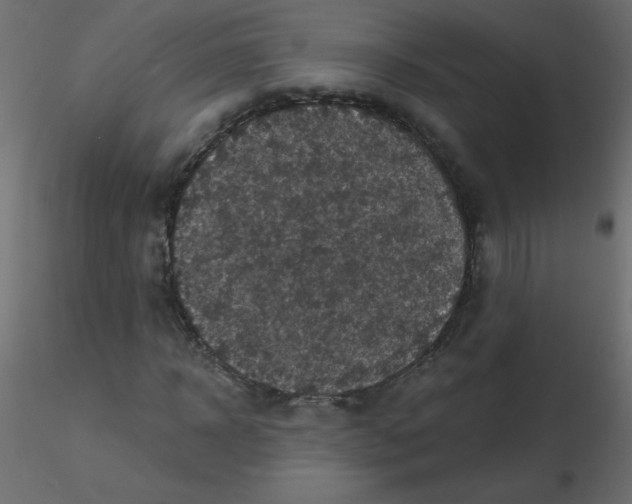 X0000116590918200912312033