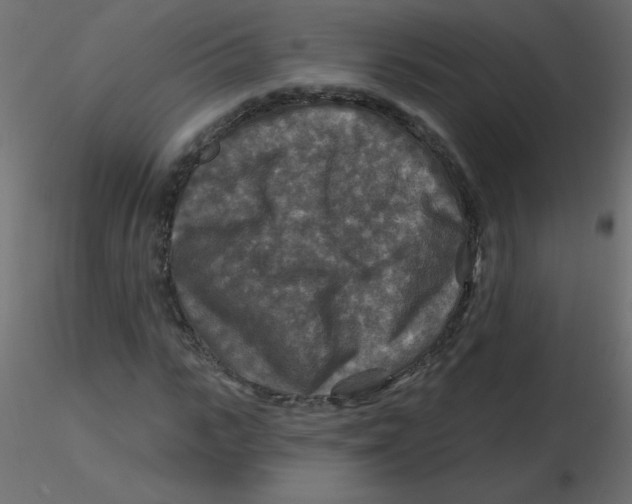 X0000116590919200912312033