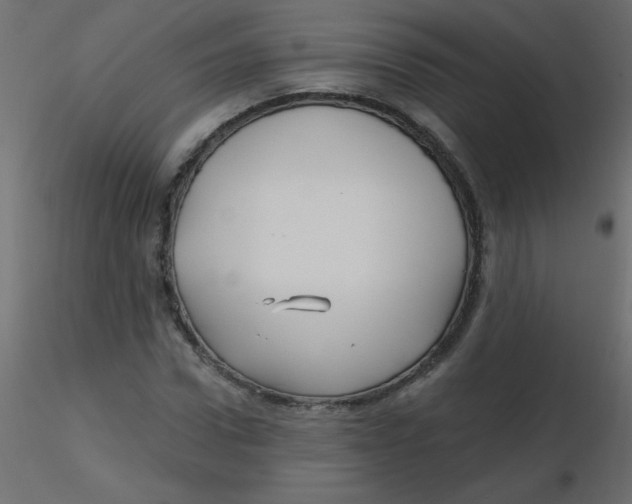 X0000116590922200912312033