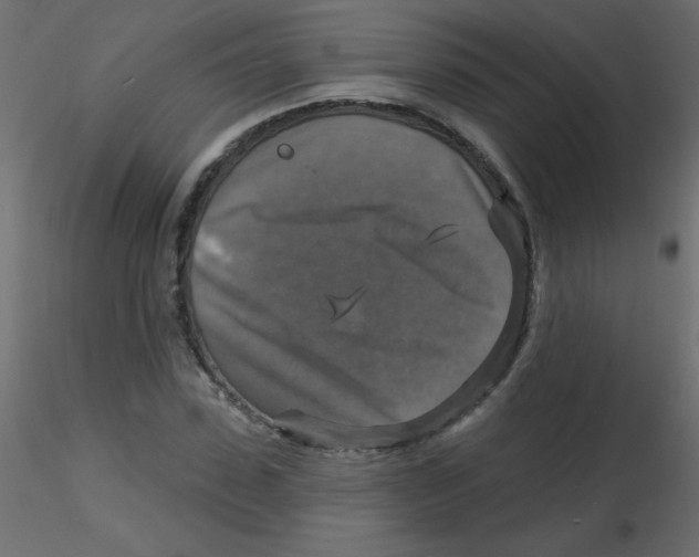 X0000116590923200912312033