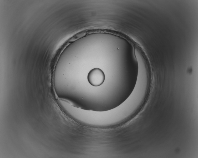 X0000116590925200912312033