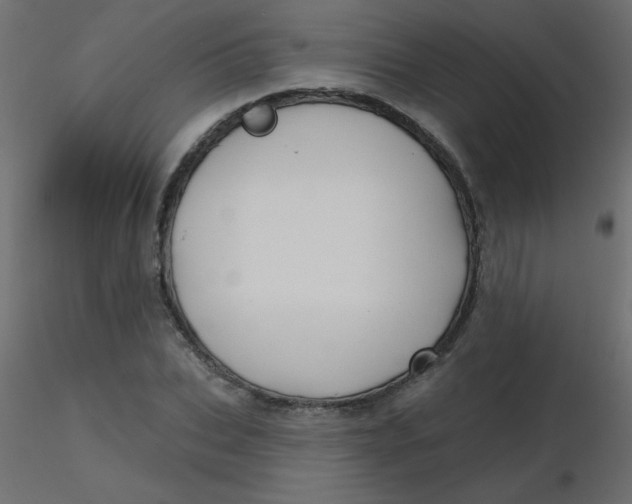 X0000116590927200912312033