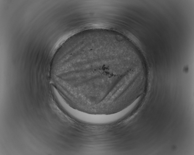 X0000116590930200912312033