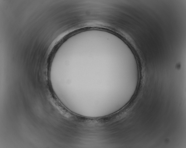 X0000116590931200912312033