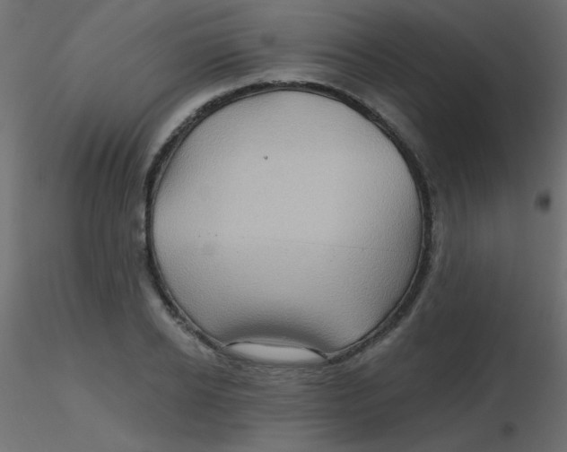 X0000116590934200912312033