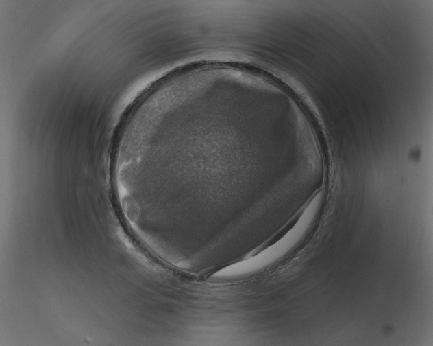 X0000116590935200912312033