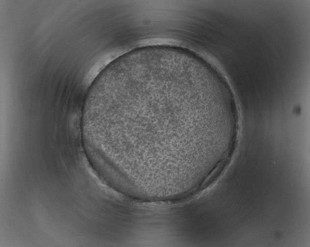 X0000116590937200912312033